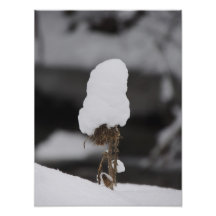 Chapeau de neige tirages photo