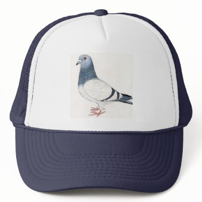 http://rlv.zcache.be/chapeau_de_pigeon_casquette-p148448906839953613bf3ey_400.jpg
