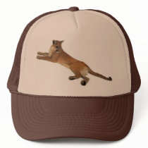 Chapeau de puma