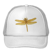 Chapeau d'or de libellule casquettes