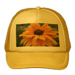 Chapeau jaune glorieux de marguerite casquette