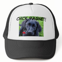 Chapeau noir de labrador retriever