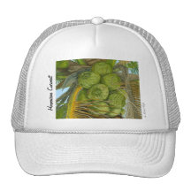 Chapeau vert hawaïen de noix de coco casquettes de camionneur