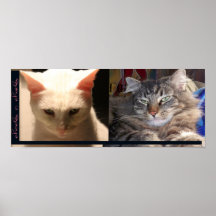 &charcs de chocolats posters