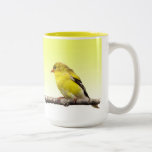 Chardonneret Tasse