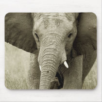 Charge d'éléphant africain, mousepads de safari de