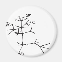 Charles Darwin - ik denk (Zwarte) Magneet