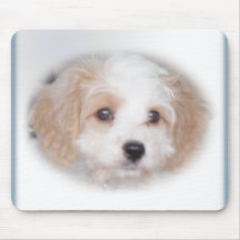 Chasse Cavachon Mousepad Tapis De Souris