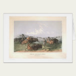 Chasse de Buffalo indien : "Quarts étroits" (0743A cartes