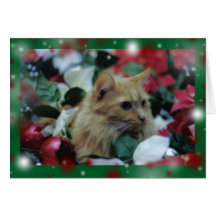 chat à Noël 1 Carte De Vœux