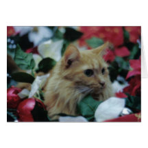 chat à Noël Carte De Vœux