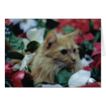 chat à Noël Cartes De Vœux