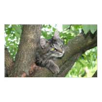 Chat dans l'arbre cartes de visite