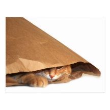 Chat dans le sac à papier brun cartes postales