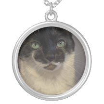 Chat de B&W Collier Personnalisé