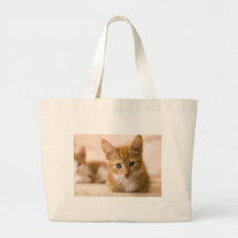 chat de chaton sacs