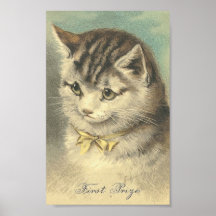 Chat de cru de premier prix posters