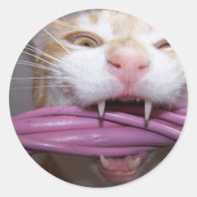 Chat de garde adhésif