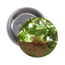 Chat de Kitty de jungle Badge