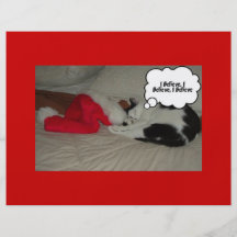 Chat de Kitty de Noël Prospectus