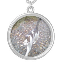 Chat de marche colliers