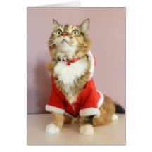 Chat de père Noël de chat de Joyeux Noël Cartes De Vœux