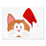 Chat de Père Noël Photos