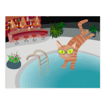 Chat de piscine cartes postales