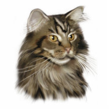 Chat de ragondin du Maine Découpage En Acrylique