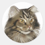 Chat de ragondin tigré noir du Maine Adhésifs Ronds