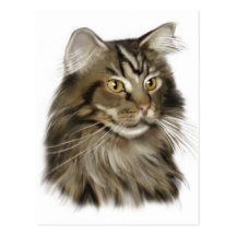 Chat de ragondin tigré noir du Maine Cartes Postales