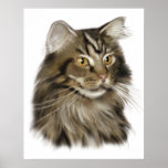 Chat de ragondin tigré noir du Maine Poster
