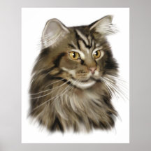 Chat de ragondin tigré noir du Maine Poster
