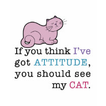 Chat drôle de l'attitude de mon chat