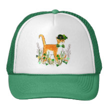 Chat du jour de St Patrick Casquette