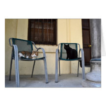Chat et Aegen de Bombay Carte De Vœux