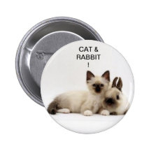 chat et lapin / cat and rabbit siamois ! badge !