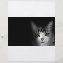 Chat mignon prospectus personnalisés