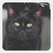 Chat noir chanceux autocollant carré