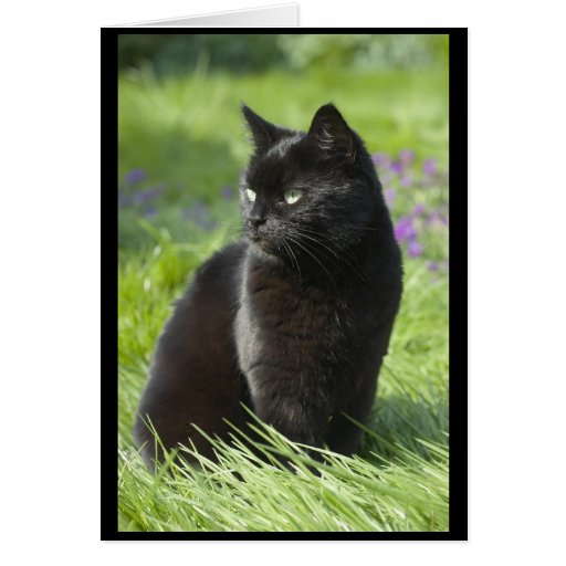 Chat noir chanceux carte de vœux