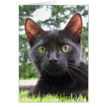 Chat noir chanceux carte de vœux