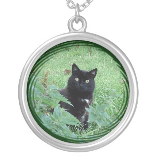 Chat noir chanceux mignon sur le collier d'argent 