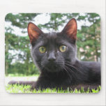 Chat noir chanceux tapis de souris