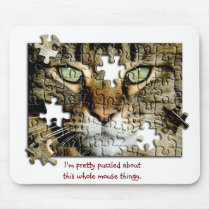 Chat perplexe