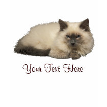 Chat persan