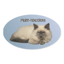 Chat siamois persan