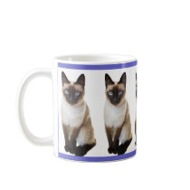 Chat siamois tasse à café