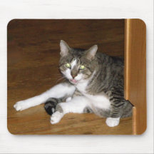 Chat tigré tapis de souris