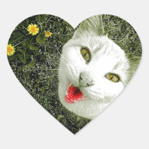 Chat voisin autocollant