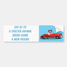 Chaton dans un convertible rouge autocollant pour voiture